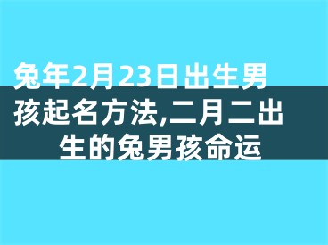 兔年2月23日出生男孩起名方法,二月二出生的兔男孩命运