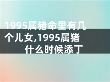 1995属猪命里有几个儿女,1995属猪什么时候添丁