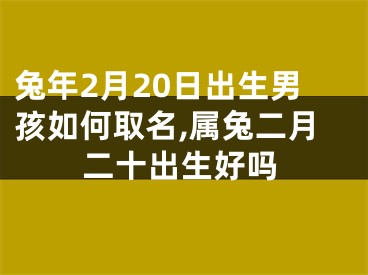 兔年2月20日出生男孩如何取名,属兔二月二十出生好吗