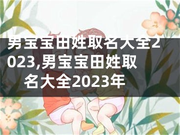 男宝宝田姓取名大全2023,男宝宝田姓取名大全2023年