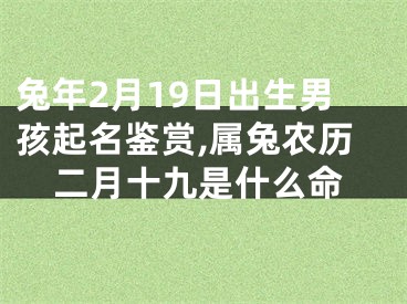 兔年2月19日出生男孩起名鉴赏,属兔农历二月十九是什么命