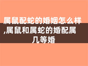 属鼠配蛇的婚姻怎么样,属鼠和属蛇的婚配属几等婚