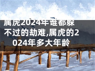 属虎2024年谁都躲不过的劫难,属虎的2024年多大年龄