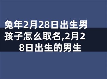 兔年2月28日出生男孩子怎么取名,2月28日出生的男生
