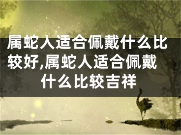 属蛇人适合佩戴什么比较好,属蛇人适合佩戴什么比较吉祥