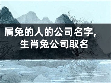 属兔的人的公司名字,生肖兔公司取名