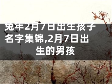 兔年2月7日出生孩子名字集锦,2月7日出生的男孩