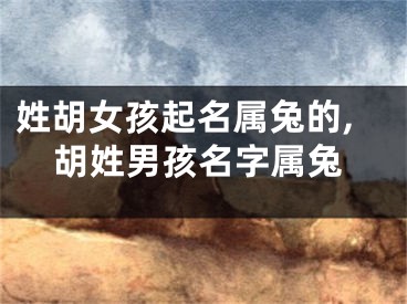 姓胡女孩起名属兔的,胡姓男孩名字属兔