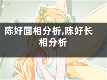 陈好面相分析,陈好长相分析