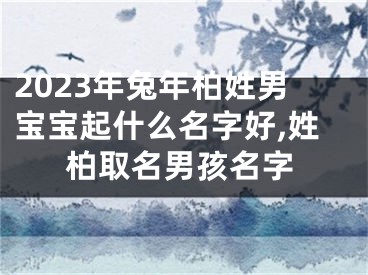2023年兔年柏姓男宝宝起什么名字好,姓柏取名男孩名字