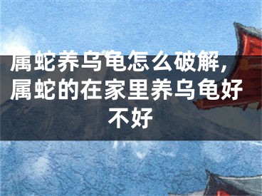 属蛇养乌龟怎么破解,属蛇的在家里养乌龟好不好