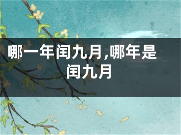 哪一年闰九月,哪年是闰九月