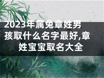 2023年属兔章姓男孩取什么名字最好,章姓宝宝取名大全