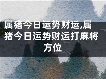 属猪今日运势财运,属猪今日运势财运打麻将方位