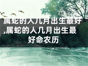 属蛇的人几月出生最好,属蛇的人几月出生最好命农历