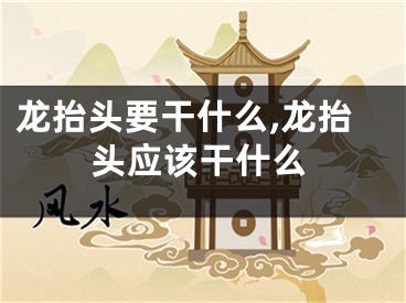 龙抬头要干什么,龙抬头应该干什么