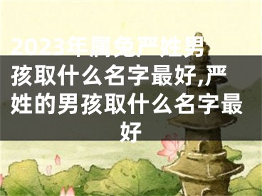 2023年属兔严姓男孩取什么名字最好,严姓的男孩取什么名字最好