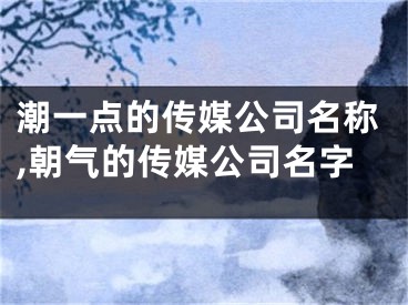 潮一点的传媒公司名称,朝气的传媒公司名字