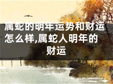 属蛇的明年运势和财运怎么样,属蛇人明年的财运