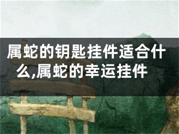 属蛇的钥匙挂件适合什么,属蛇的幸运挂件