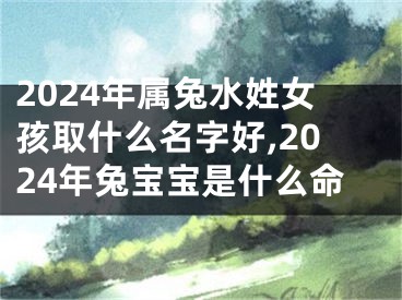 2024年属兔水姓女孩取什么名字好,2024年兔宝宝是什么命