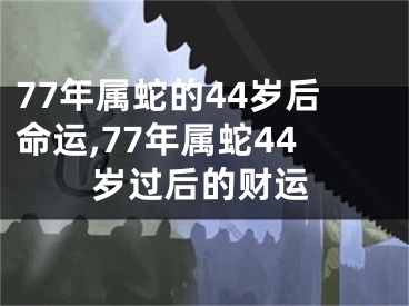 77年属蛇的44岁后命运,77年属蛇44岁过后的财运