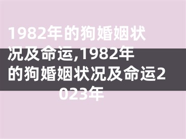 1982年的狗婚姻状况及命运,1982年的狗婚姻状况及命运2023年
