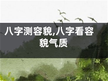 八字测容貌,八字看容貌气质