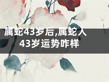 属蛇43岁后,属蛇人43岁运势咋样