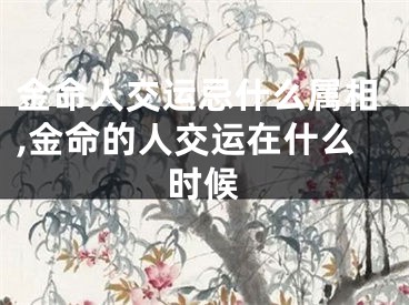 金命人交运忌什么属相,金命的人交运在什么时候