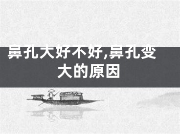 鼻孔大好不好,鼻孔变大的原因