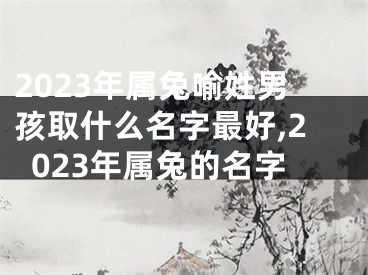 2023年属兔喻姓男孩取什么名字最好,2023年属兔的名字