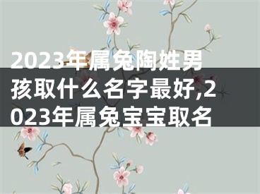 2023年属兔陶姓男孩取什么名字最好,2023年属兔宝宝取名