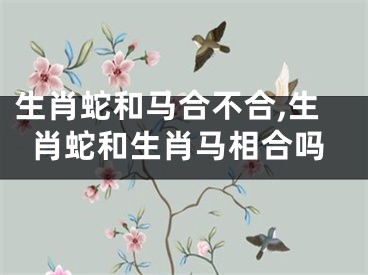 生肖蛇和马合不合,生肖蛇和生肖马相合吗