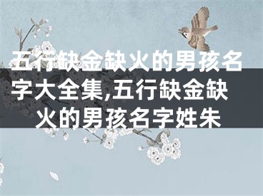 五行缺金缺火的男孩名字大全集,五行缺金缺火的男孩名字姓朱