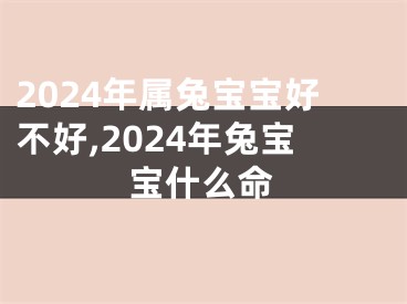 2024年属兔宝宝好不好,2024年兔宝宝什么命