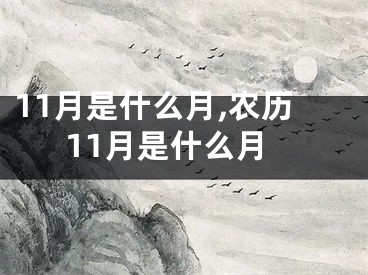 11月是什么月,农历11月是什么月