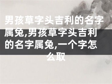 男孩草字头吉利的名字属兔,男孩草字头吉利的名字属兔,一个字怎么取
