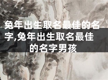 兔年出生取名最佳的名字,兔年出生取名最佳的名字男孩