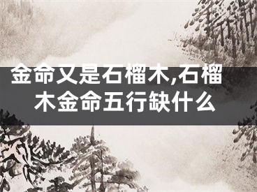 金命又是石榴木,石榴木金命五行缺什么