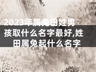 2023年属兔田姓男孩取什么名字最好,姓田属兔起什么名字