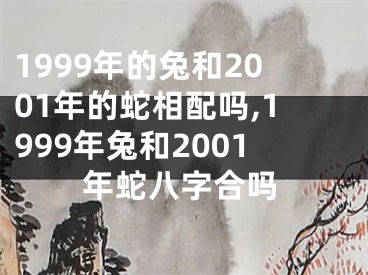 1999年的兔和2001年的蛇相配吗,1999年兔和2001年蛇八字合吗