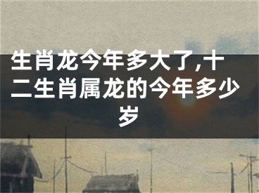 生肖龙今年多大了,十二生肖属龙的今年多少岁