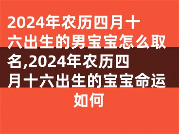 2024年农历四月十六出生的男宝宝怎么取名,2024年农历四月十六出生的宝宝命运如何