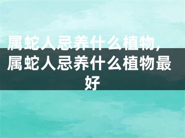 属蛇人忌养什么植物,属蛇人忌养什么植物最好