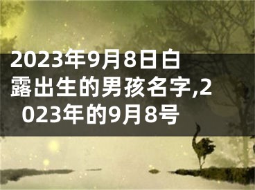 2023年9月8日白露出生的男孩名字,2023年的9月8号