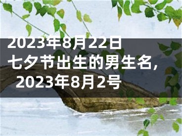 2023年8月22日七夕节出生的男生名,2023年8月2号