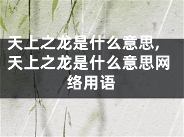 天上之龙是什么意思,天上之龙是什么意思网络用语