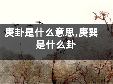 庚卦是什么意思,庚巽是什么卦
