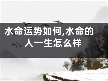 水命运势如何,水命的人一生怎么样